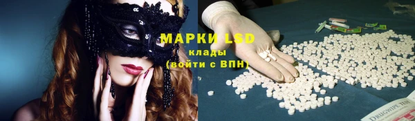 прущие крисы Верея
