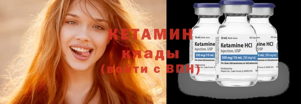 прущие грибы Верхний Тагил