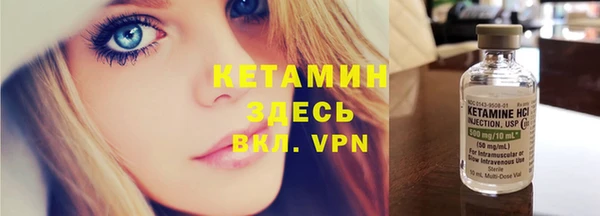 прущие грибы Верхний Тагил
