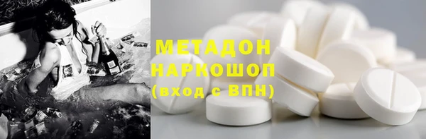 прущие грибы Верхний Тагил
