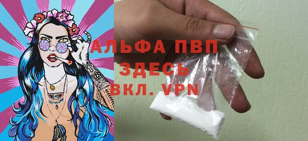прущие грибы Верхний Тагил