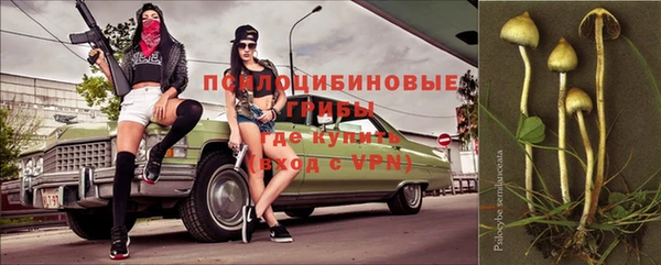 прущие грибы Верхний Тагил