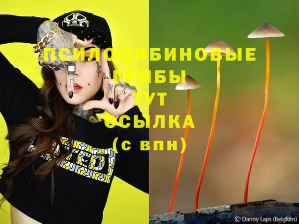 шишки Бородино