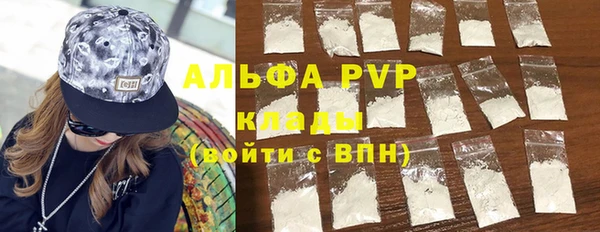 прущие крисы Верея