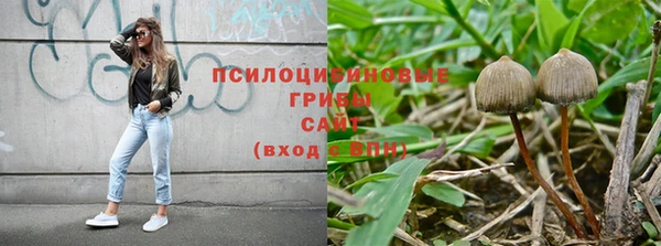прущие крисы Верея