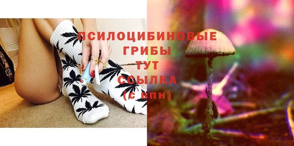 прущие крисы Верея