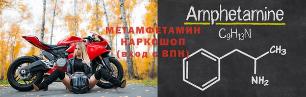 прущие грибы Верхний Тагил