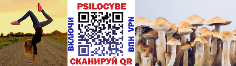 Псилоцибиновые грибы прущие грибы  Кемь 
